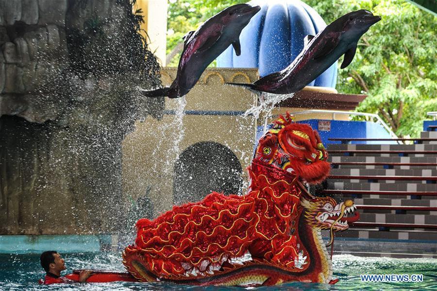 Dragon, lion dance performed in Indonesia