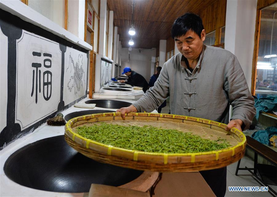 Ancient making technique of Chinese tea Biluochun