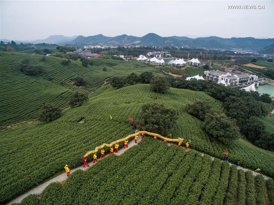 Tea farmers celebrate harvest in Zhejiang