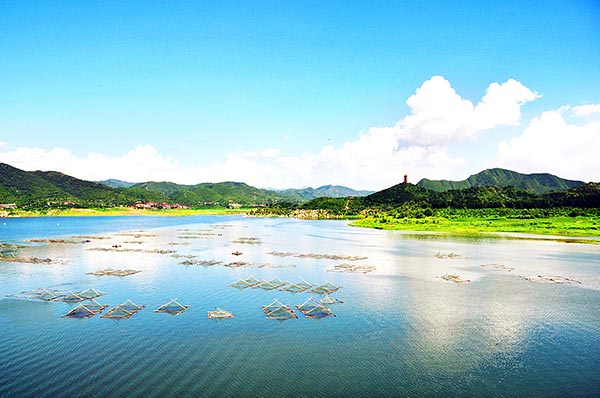 Beijing music fest celebrates peach-blossom beauty