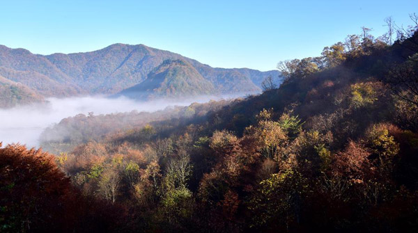 29 sites nominated for UNESCO World Heritage - two from China