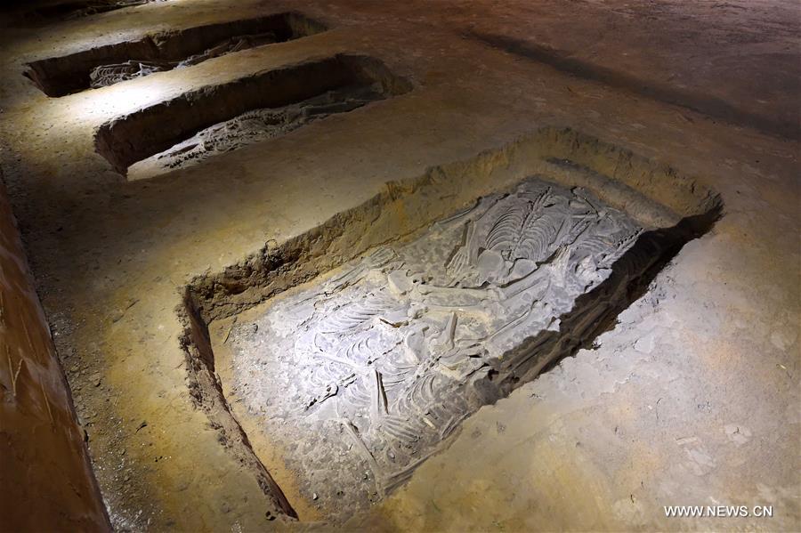 Inside Ruins of Yin: One of China's oldest archaeological sites