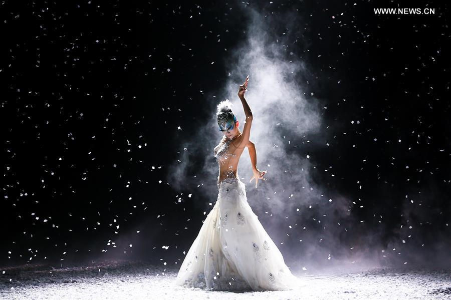 Chinese dancing master Yang Liping performs drama 'Peacock of Winter'