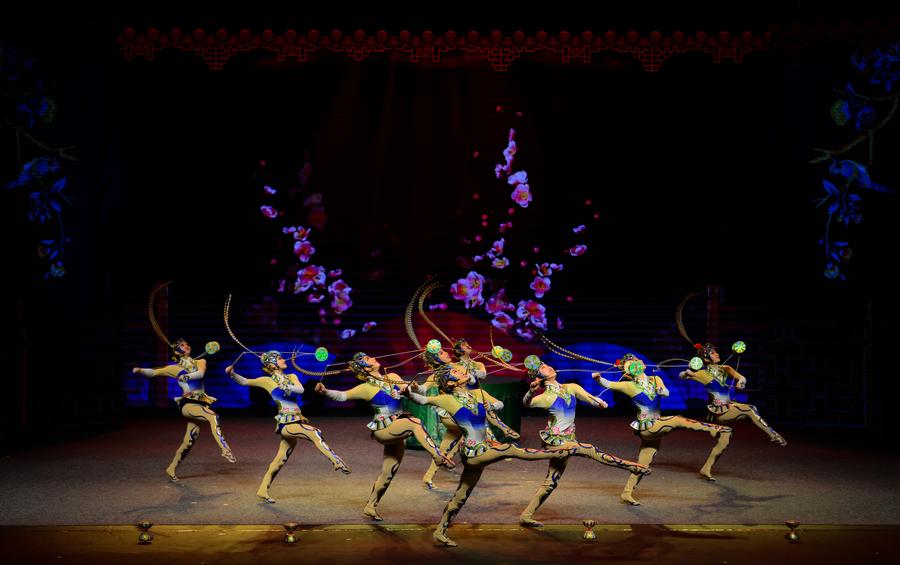 Chinese acrobats perform at China-South Africa gala