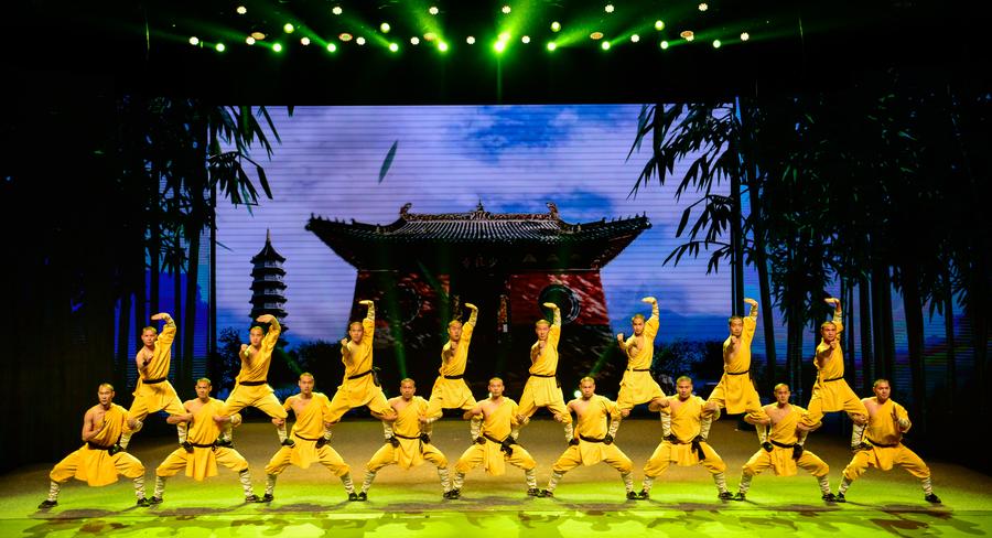 Chinese acrobats perform at China-South Africa gala