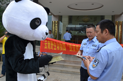 挽留熊貓公益行獲森警支持 云南野生動(dòng)物園透露將如何“挽留熊貓”