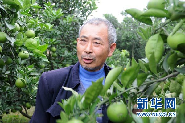 圖片故事：瀟湘村的幸福果園