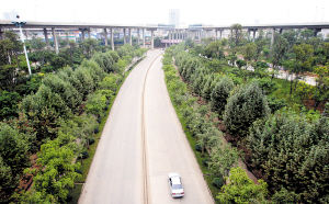 從世博到南博 大城崛起的城市化軌跡