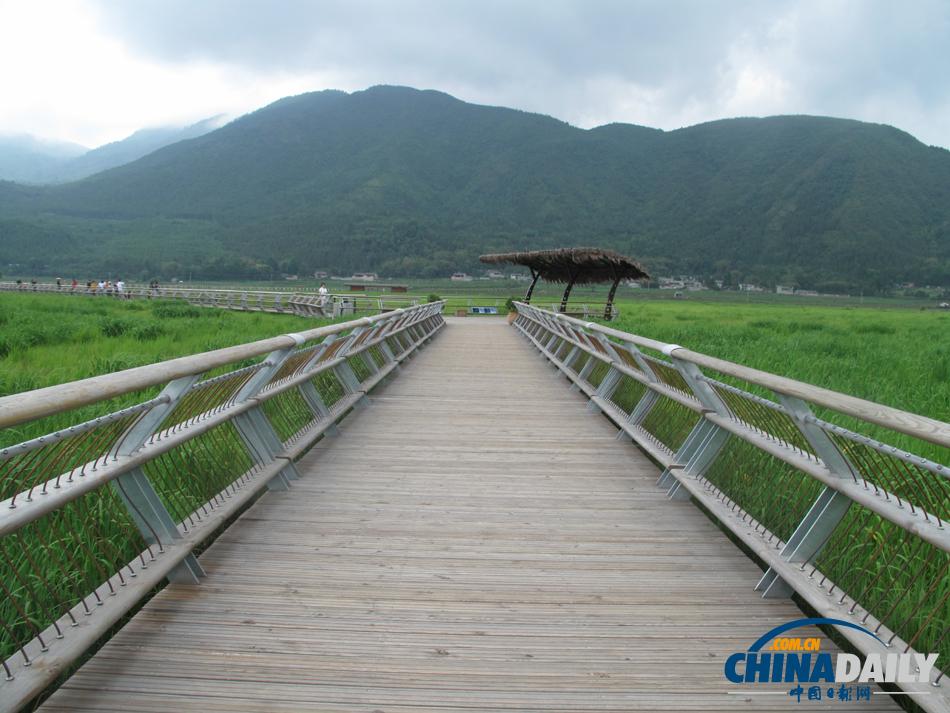 走進(jìn)騰沖北海濕地 體驗(yàn)“人在畫中游”的美景