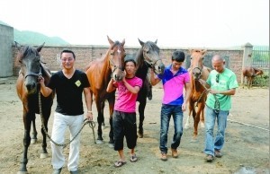 家有寶“馬” 探秘重慶馬友（多圖）