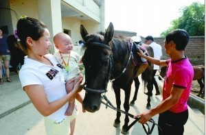 家有寶“馬” 探秘重慶馬友（多圖）