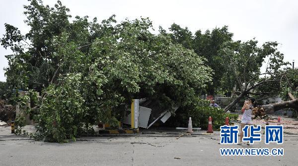 近期華北東北等地暴雨洪澇風雹災害造成57人死亡失蹤