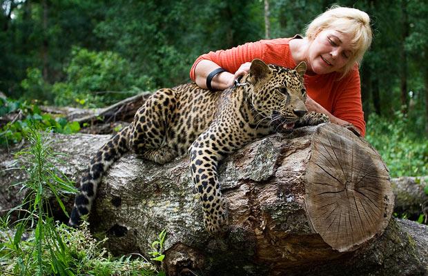 美國人什么寵物都敢養 猛獸成為家庭成員