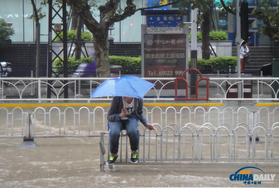 昆明一雨成澤