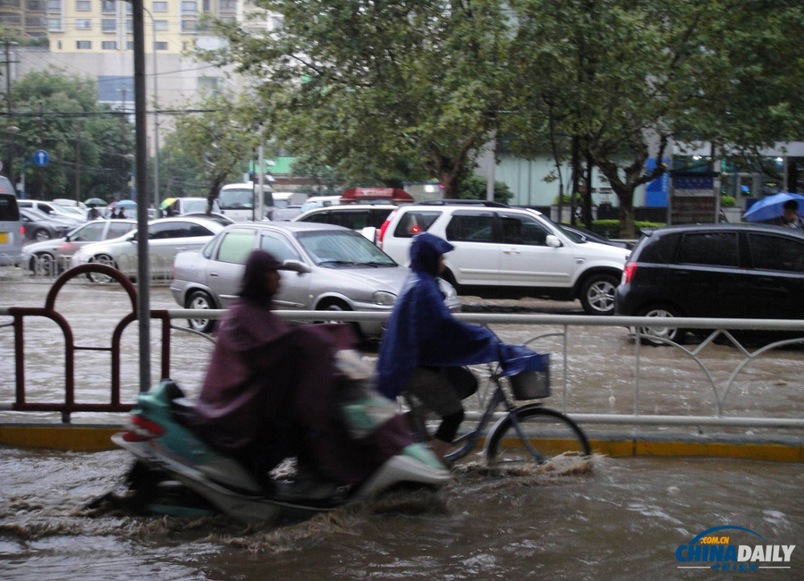 昆明一雨成澤