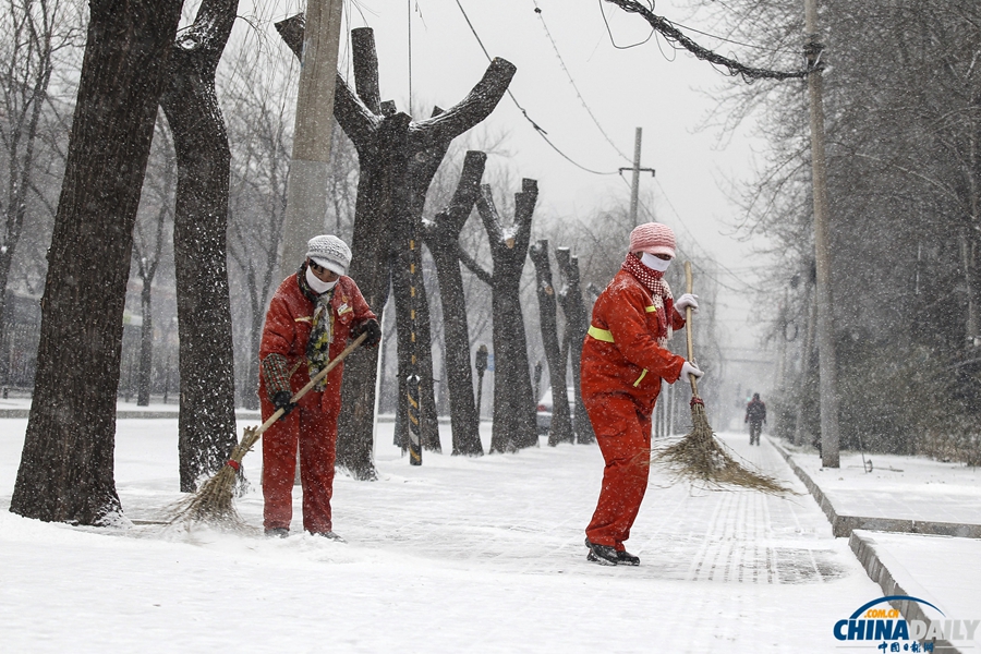 北京迎來馬年新春第一場降雪