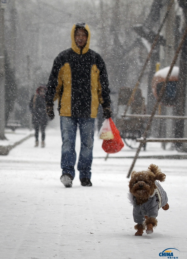 北京迎來馬年新春第一場降雪