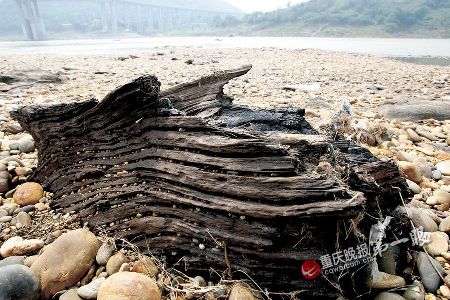 洪水退了意外驚現(xiàn)“植物木乃伊”陰沉木