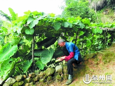 80歲的老人獨自守護 即將消逝的古老村莊(圖)