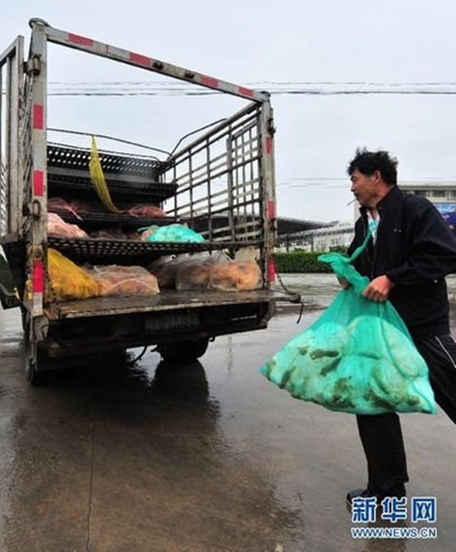 防控H7N9 福州海峽家禽批發市場緊急關閉