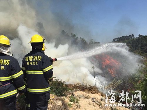 清明臨近山林火警頻發 文明祭掃須戒“七宗罪”