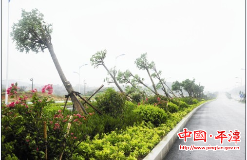 裹風(fēng)攜雨“潭美” 卷走我區(qū)1.5億元