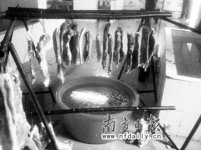 死豬肉熏制后入市 每天1噸問題臘肉流入市場