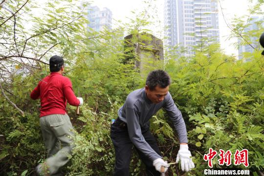 珠海三灶島定家灣襲日抗戰烈士長眠中山