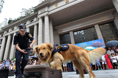 廣州市民與海關“明星緝毒犬”親密接觸