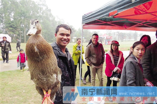 南寧金沙湖景區正式開門迎客 觀天鵝摘草莓等你來