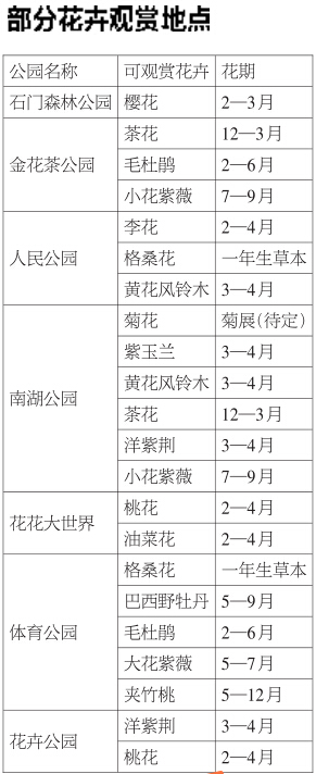 市區可賞花縣區有花海 “花樣南寧”吸引游客逐香來