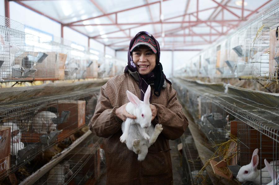 特種動物特色養殖助力黑龍江農村殘疾人產業扶貧