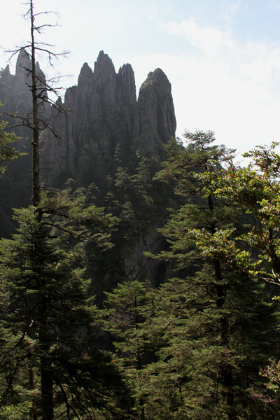 最長棧道揭“神農一景”神秘面紗