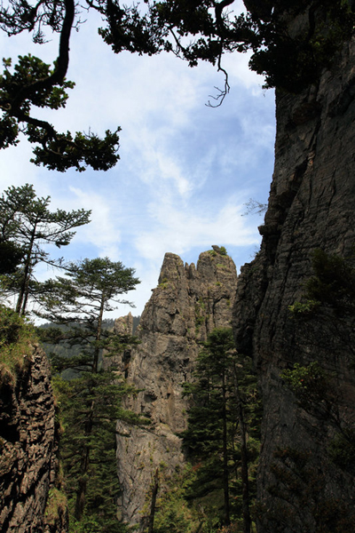 最長(zhǎng)棧道揭“神農(nóng)一景”神秘面紗