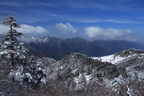 強冷空氣致神農架驟降“桃花雪”