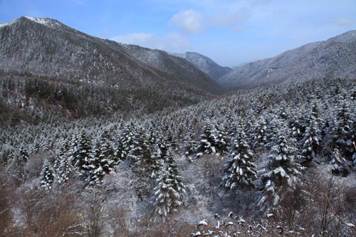 強(qiáng)冷空氣致神農(nóng)架驟降“桃花雪”