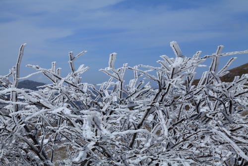 強(qiáng)冷空氣致神農(nóng)架驟降“桃花雪”