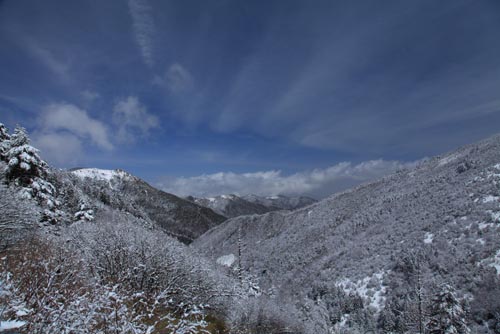 強冷空氣致神農架驟降“桃花雪”