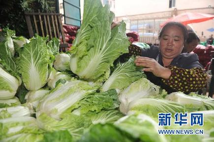 菜價猶如“過山車” 價格穩定機制何去何從？