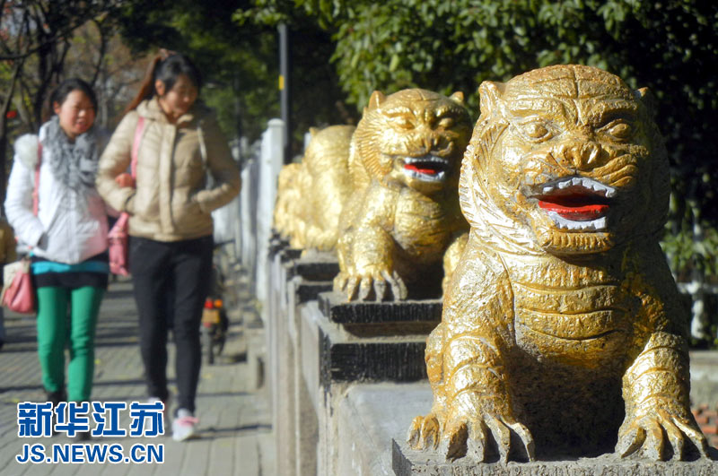 蘇州街頭驚現(xiàn)“土豪金”石獅子