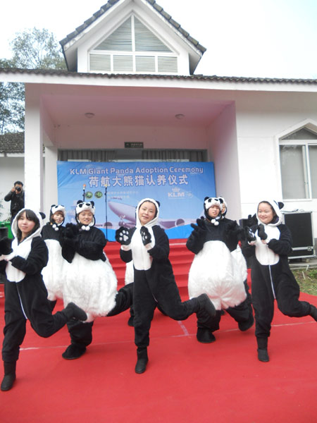 荷航認養四川熊貓