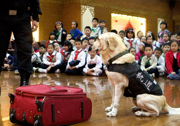 上海小學(xué)生開展“神秘的公安”校外活動