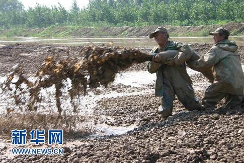 中國(guó)人均耕地面積僅為世界40% 18億畝紅線面臨挑戰(zhàn)