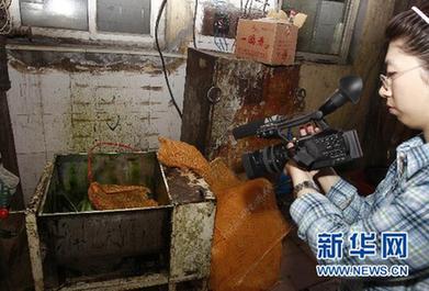 專家答疑：我國食品安全標準