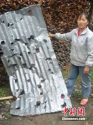 廣東北部遭遇特大冰雹 砸死鴨子擊穿鐵皮(圖)