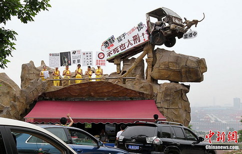 重慶“女子禁酒隊”上街勸司機勿酒駕(圖)