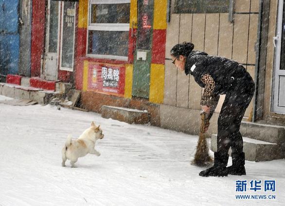 中央氣象臺繼續發布寒潮藍色預警