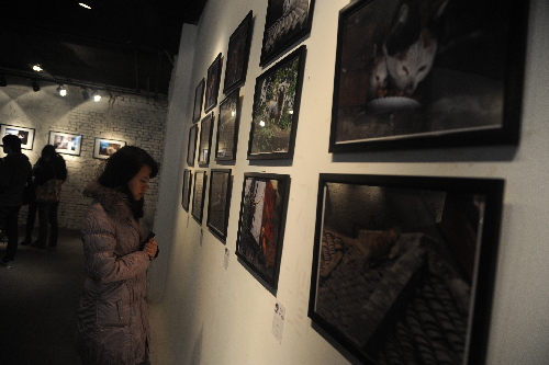 亞洲動物基金舉辦小動物攝影大賽獲獎作品巡展