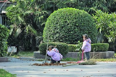 3歲雙胞胎姐妹幫清潔工奶奶掃馬路引關注