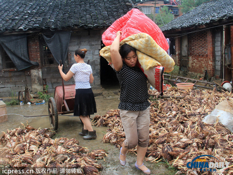 湖北鄖縣遭強降雨：房屋被毀雞場被淹 死雞尸體堆滿地